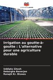 Irrigation au goutte-à-goutte : L'alternative pour une agriculture durable