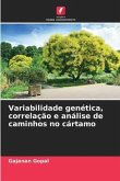 Variabilidade genética, correlação e análise de caminhos no cártamo