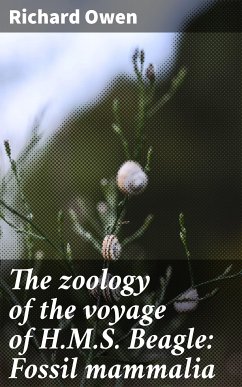 The zoology of the voyage of H.M.S. Beagle: Fossil mammalia (eBook, ePUB) - Owen, Richard