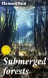 Submerged forests (eBook, ePUB) - Bild 1