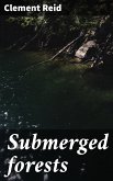 Submerged forests (eBook, ePUB)