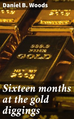 Sixteen months at the gold diggings (eBook, ePUB) - Woods, Daniel B.