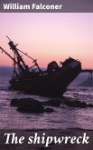 The shipwreck (eBook, ePUB)