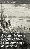 A Constitutional League of Peace in the Stone Age of America (eBook, ePUB)