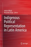 Indigenous Political Representation in Latin America (eBook, PDF)