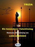 Ein Besonderer Valentinstag (eBook, ePUB)