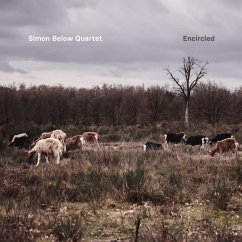 Encircled - Below,Simon Quartet