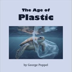 The Age of Plastic (eBook, ePUB) - Popple, George