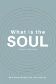 What Is the Soul and Why It Matters (eBook, ePUB)