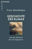 Geschichte des Klimas (eBook, PDF)