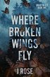 Where Broken Wings Fly - Bild 1
