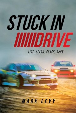 Stuck in Drive - Levy, Mark