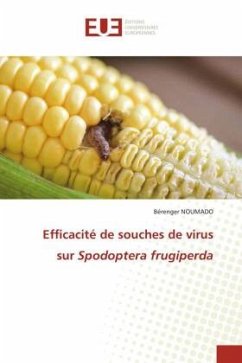 Efficacité de souches de virus sur Spodoptera frugiperda - NOUMADO, Bérenger