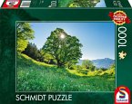 Schmidt 59761 - Berg-Ahorn im Sonnenlicht, St. Gallen/Schweiz, Puzzle, 1000 Teile