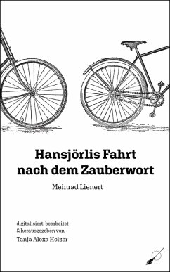 Hansjörlis Fahrt nach dem Zauberwort (eBook, ePUB) - Lienert, Meinrad