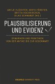 Plausibilisierung und Evidenz (eBook, PDF)
