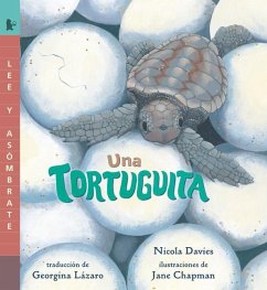 Una Tortuguita - Davies, Nicola