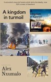 A Kingdom In Turmoil (eBook, ePUB)