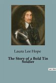 The Story of a Bold Tin Soldier