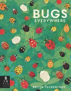 Bugs Everywhere - Murray, Lily