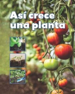 Así Crece Una Planta - Vhl