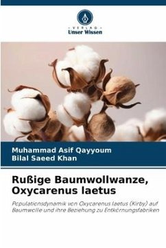 Rußige Baumwollwanze, Oxycarenus laetus - Qayyoum, Muhammad Asif;Khan, Bilal Saeed