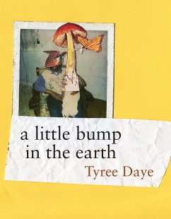 A Little Bump in the Earth - Daye, Tyree