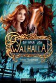 Die Nebel von Walhalla (Bd. 3) (eBook, ePUB)