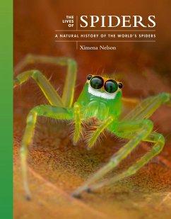 The Lives of Spiders (eBook, ePUB) - Nelson, Ximena