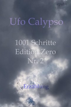 1001 Schritte - Edition Zero - Nr. 2 (eBook, ePUB) - Calypso, Ufo