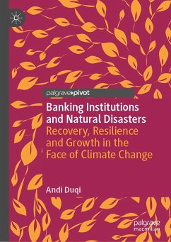 Banking Institutions and Natural Disasters (eBook, PDF) - Duqi, Andi