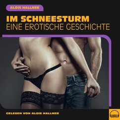Im Schneesturm (MP3-Download) - Hallner, Alois