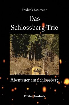 Das Schlossberg-Trio - Neumann, Frederik