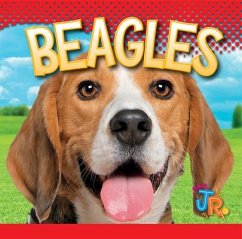 Beagles - Storm, Marysa