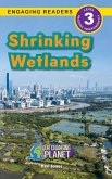 Shrinking Wetlands