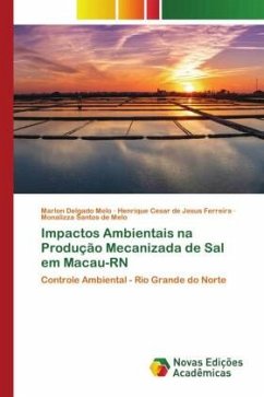 Impactos Ambientais na Produção Mecanizada de Sal em Macau-RN - Melo, Marlon Delgado;Ferreira, Henrique Cesar de Jesus;de Melo, Monalizza Santos