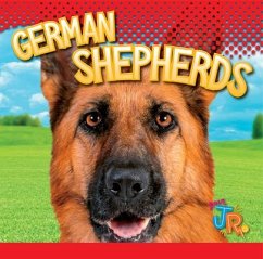 German Shepherds - Storm, Marysa