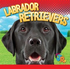 Labrador Retrievers - Storm, Marysa