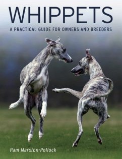 Whippets - Marston-Pollock, Pam