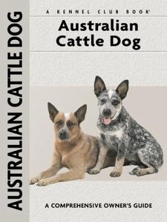 Australian Cattle Dog - Schwartz, Charlotte
