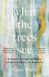 What the Trees See - Bild 1