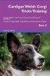 Cardigan Welsh Corgi Tricks Training... - Bild 1