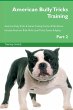 American Bully Tricks Training American... - Bild 1