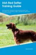 Irish Red Setter Training Guide Irish... - Bild 1