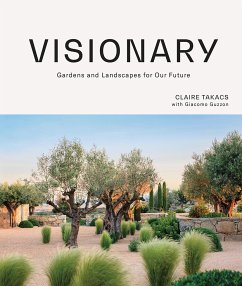 Visionary - Takacs, Claire