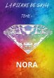 La pierre de Srha (eBook, ePUB) - Bild 1