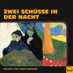 Zwei Schüsse in der Nacht (MP3-Download) - Anonym