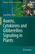 Auxins, Cytokinins and Gibberellins... - Bild 1