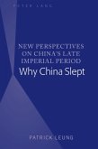 New Perspectives on China's Late Imperial Period (eBook, PDF)