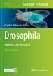 Drosophila - Bild 1